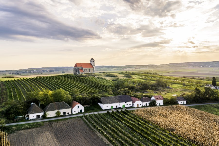 Sklepní ulička Wartberg, © Weinviertel Tourismus/Robert Herbst