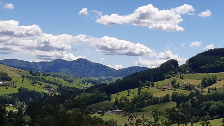 Dovolen&aacute; v hotelu Nussbaumerhof, &copy; Strei&szlig;lberger Josef und Monika
