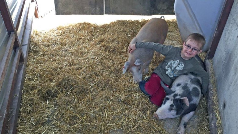 kerndlerhof_pigs_niklas, © Kerndlerhof