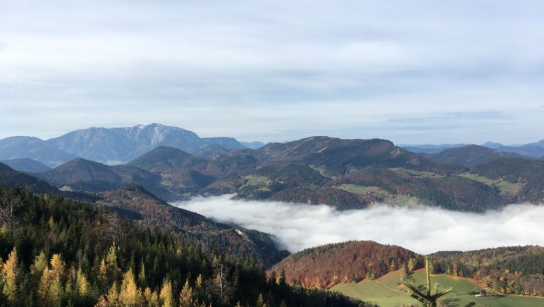 View into the sea of fog, © Naturpark Hohe Wand