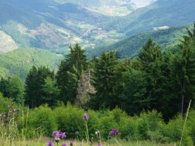 Aussicht Panormawiese, &copy; Waldviertel Tourismus