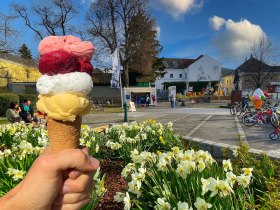 Eisgenuss an der Donaul&auml;ne, &copy; Donau Nieder&ouml;sterreich - Kamptal-Wagram-Tullner Donauraum