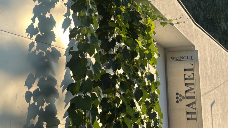 Vněj&scaron;&iacute; pohled na vinařstv&iacute; Haimel s vinnou r&eacute;vou na stěně.