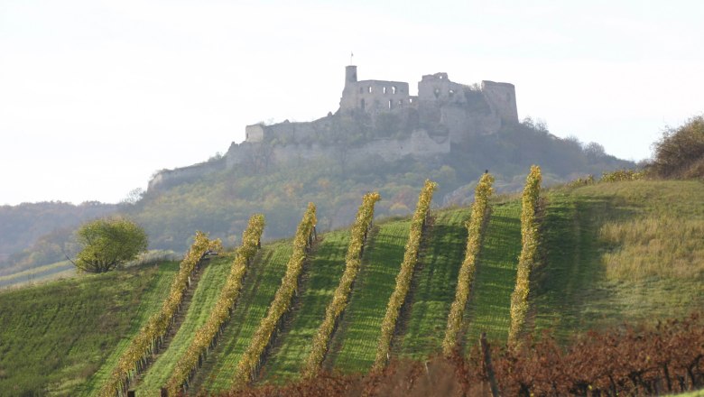 Falkenstein castle ruins, &copy; Rudi Weiss