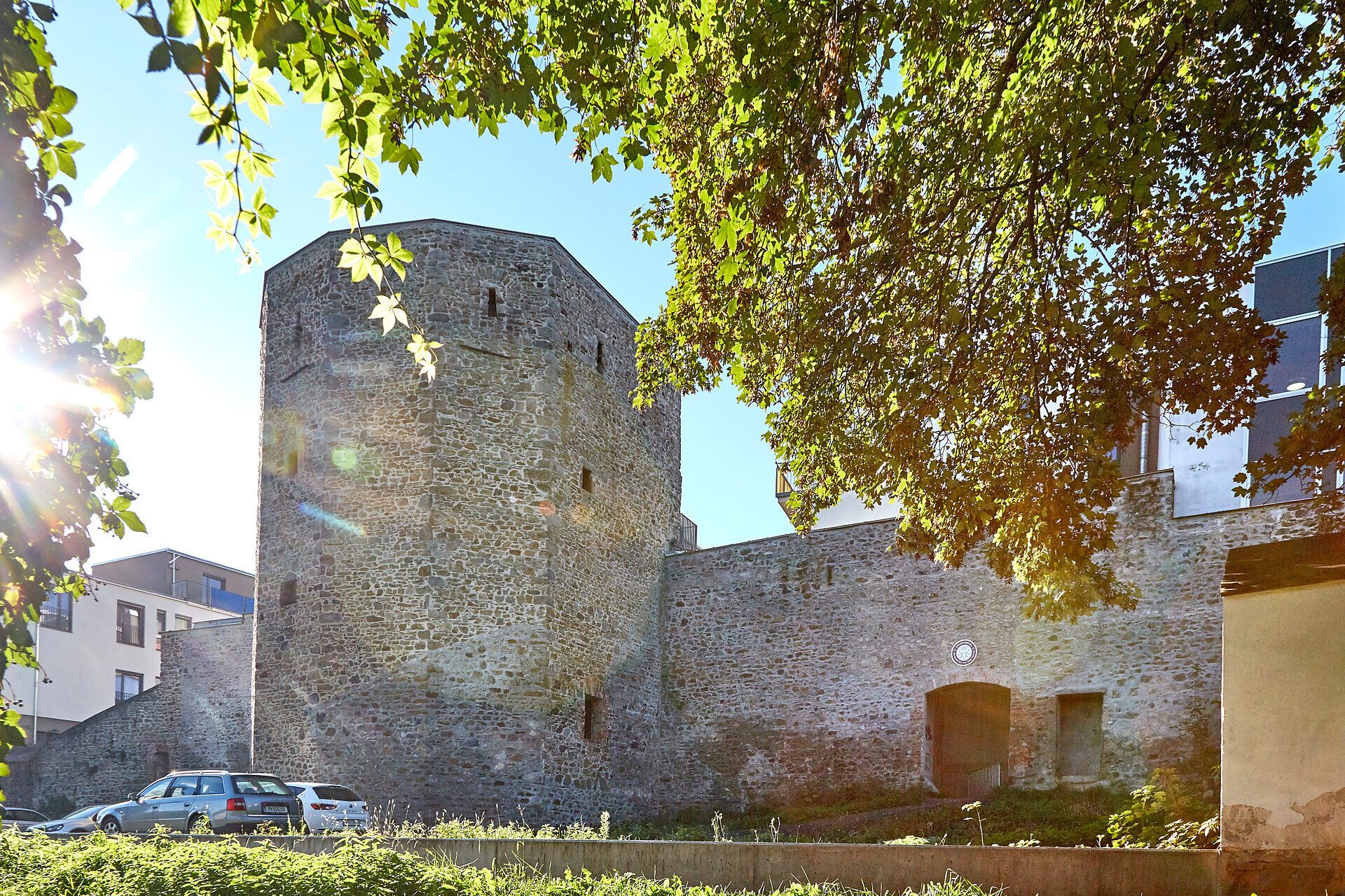 Městské hradby a věž ve Waidhofenu an der Thaya, obklopené stromy a slunečním světlem.