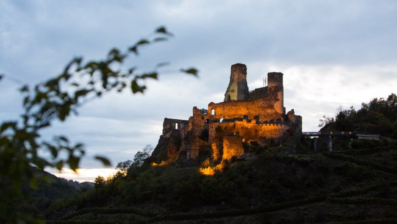 Burgruine Senftenberg Sommer, © Verein zur Erhaltung der Burgruine Senftenberg