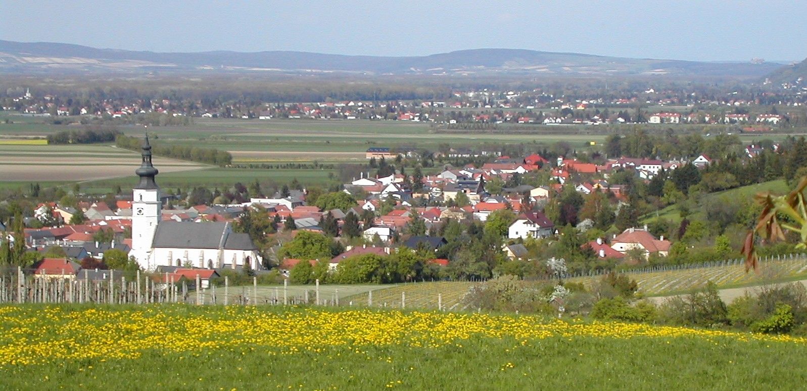 Pohled na Königstetten s kostelem a okolními poli.