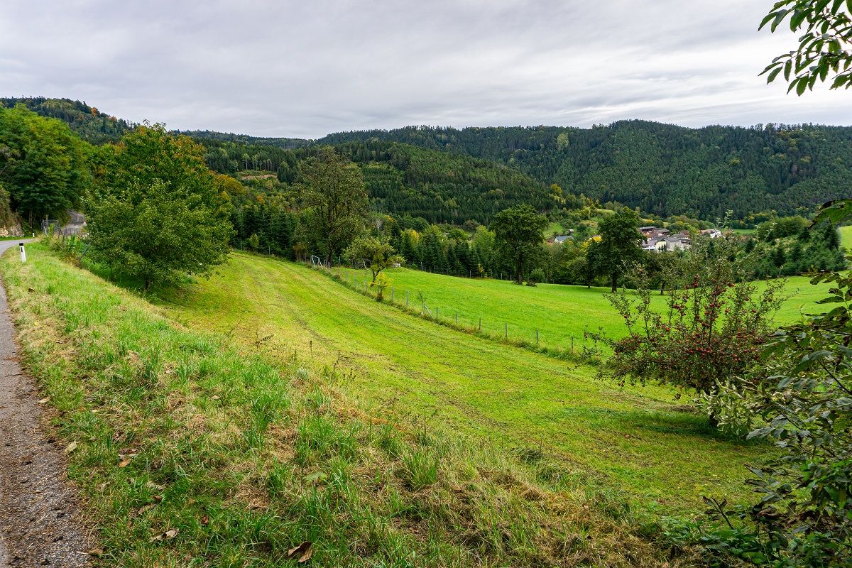 Pohled na Loibersdorf