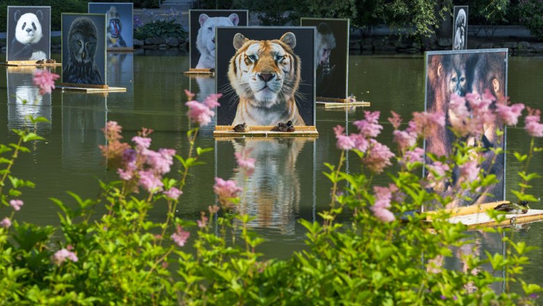 Festival La Gacilly-Baden Photo, &copy; Lois Lammerhuber