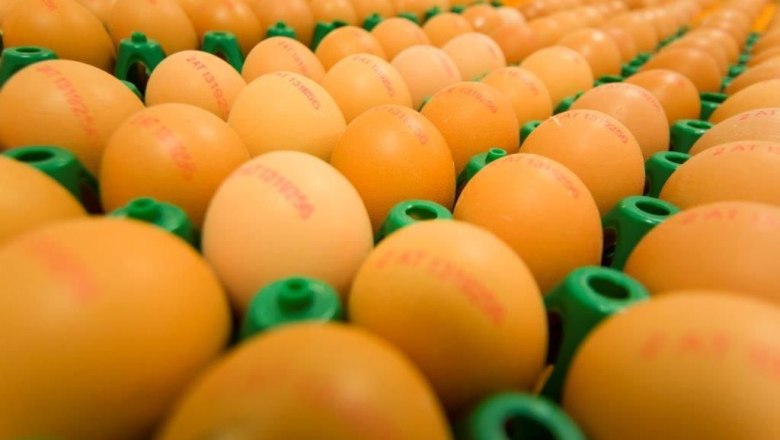Eggs from the farm, © Familie List