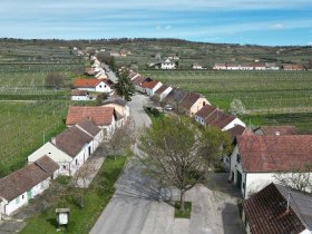 Panoramatick&yacute; v&yacute;hled na sklepn&iacute; uličky Feuersbrunn s poli a vinicemi,