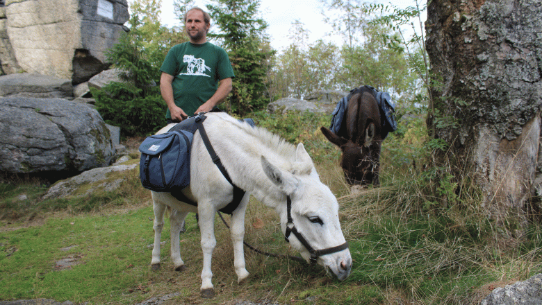 Holzm&uuml;hle Inn & Pony Farm, &copy; Birgit Taxb&ouml;ck