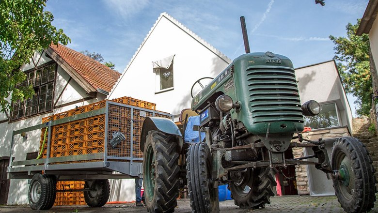 Vintage Wiederstein Weiberwirtschaft, Göttlesbrunn, © Familie Wiederstein