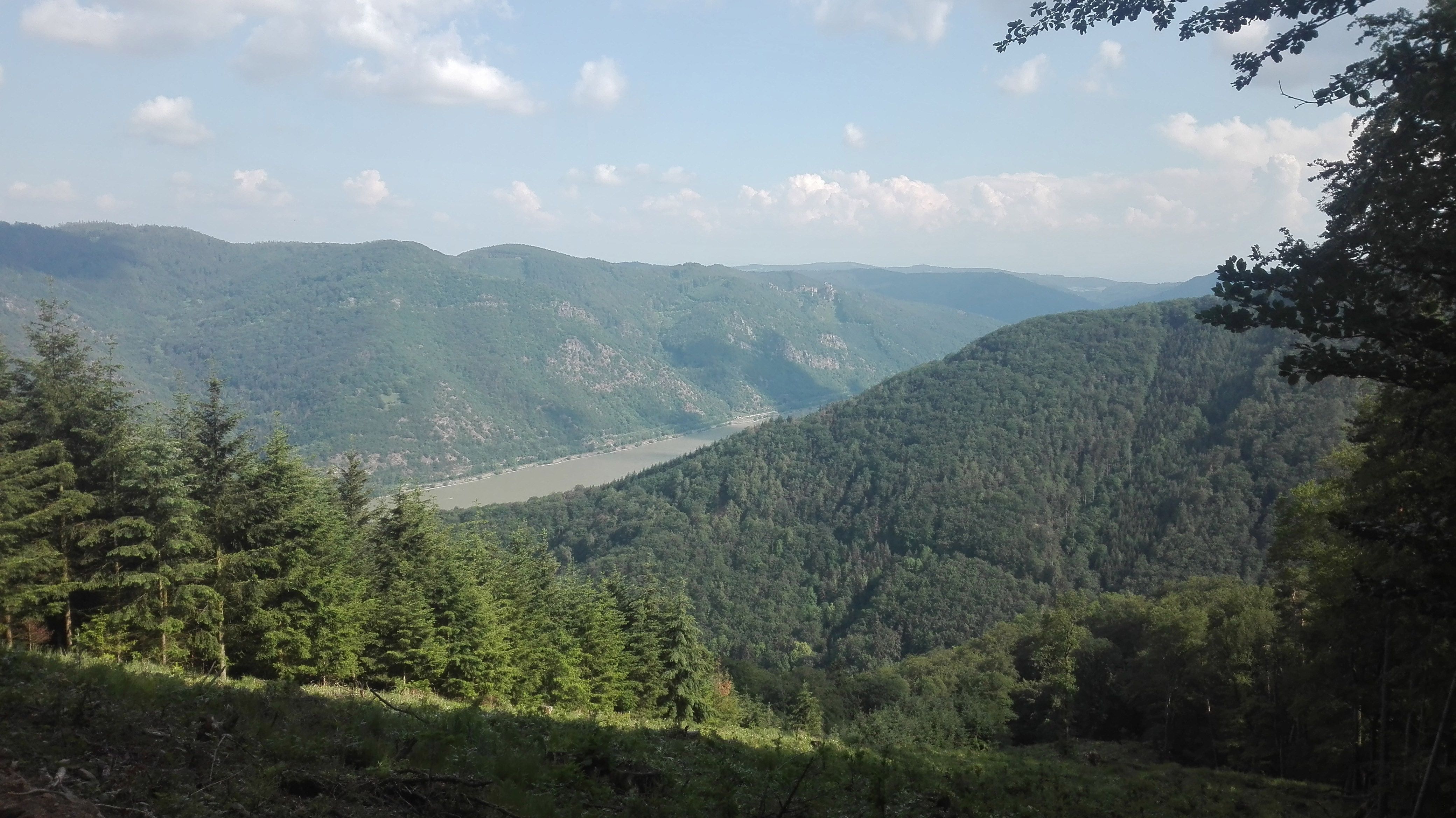 Pohled z Jauerlingu na zalesněné kopce a řeku pod modrou oblohou.