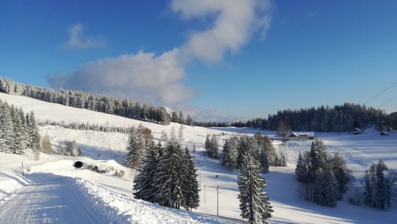 Winter landscape, &copy; Erika Pieber