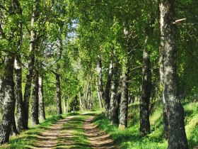 Hochfeldweg, Nr. 44, &copy; Gemeinde Gutenbrunn
