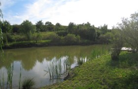 Wetland biotope in Nappersdorf, © Marktgemeinde Nappersdorf-Kammersdorf