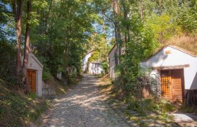 Kellergasse Oberkreuzstetten, © Alexander Smyczko