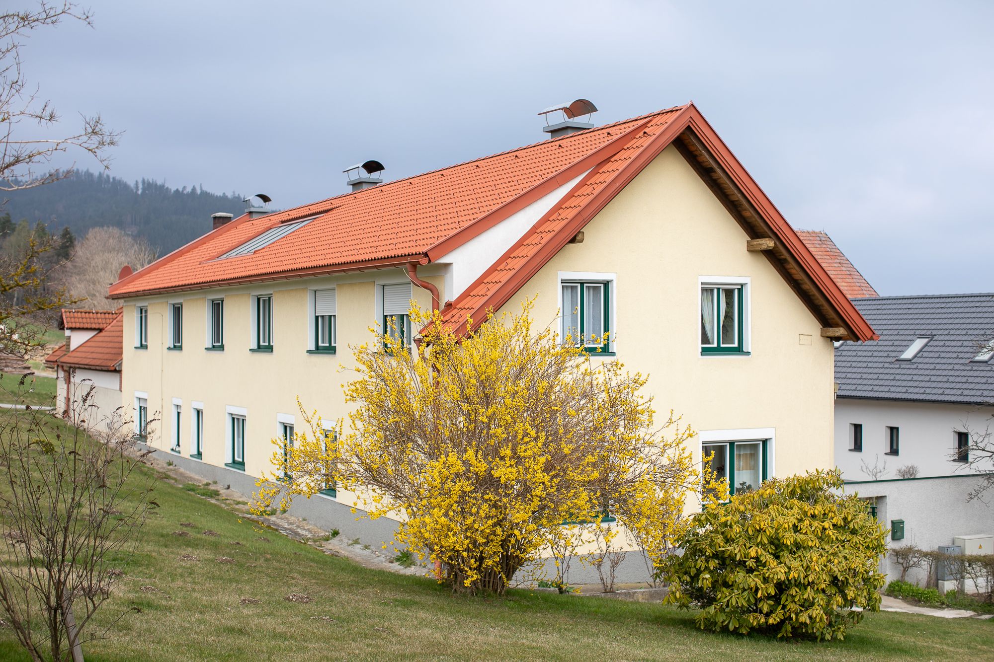 Žlutý dům s červenou střechou a kvetoucím keřem v popředí.