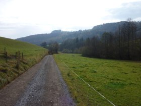 R&uuml;ckweg nach Kaumberg, &copy; Wienerwald