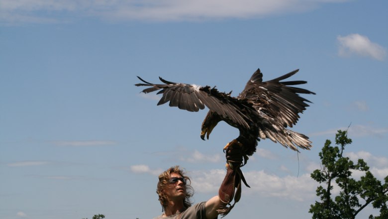 Flight demonstration, &copy; topshot.co.at