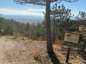 Waldlehrpfad Vogelkundeweg, © Wiener Alpen in Niederösterreich