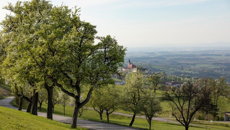 Photo point St. Michael am Bruckbach, © schwarz-koenig.at
