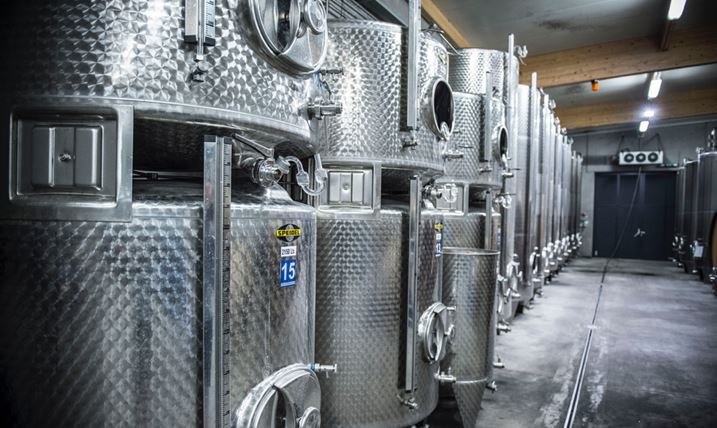 Vinařstv&iacute; Franz Anton Mayer GmbH, &copy; Weingut Franz Anton Mayer GmbH