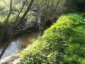 &Uuml;berl&auml;nderweg, &copy; Marktgemeinde Hoheneich