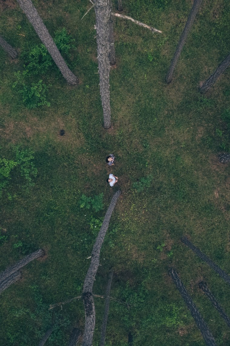 Obrovské borové lesy ve Vídeňském lese, © Niederösterreich Werbung/ Ian Ehm