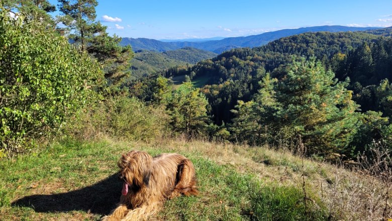 From short tours to long-distance hikes - everything in the area!, © U.E.