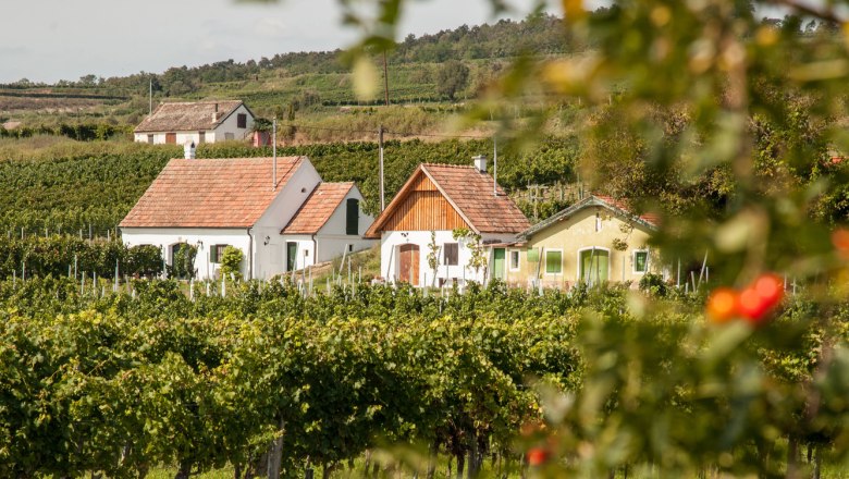 Sklepní ulička Feuersbrunn, Wagram, © Niederösterreich Werbung/Discover Austria