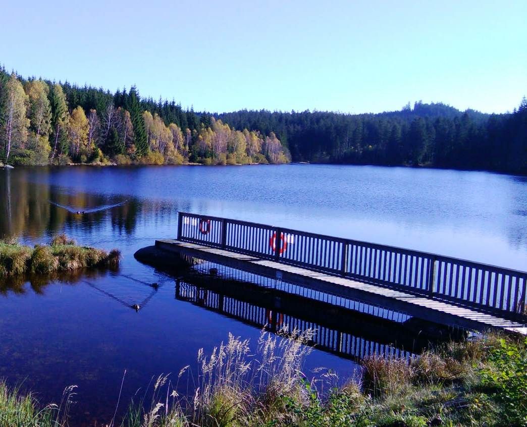 Schlesingerův rybník