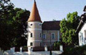 Hrad Fels am Wagram s věž&iacute; a stromy v popřed&iacute;.