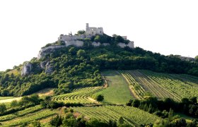 Burgruine Falkenstein(c)Weinort Falkenstein, © Weinort Falkenstein