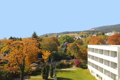 Hotel College Garden