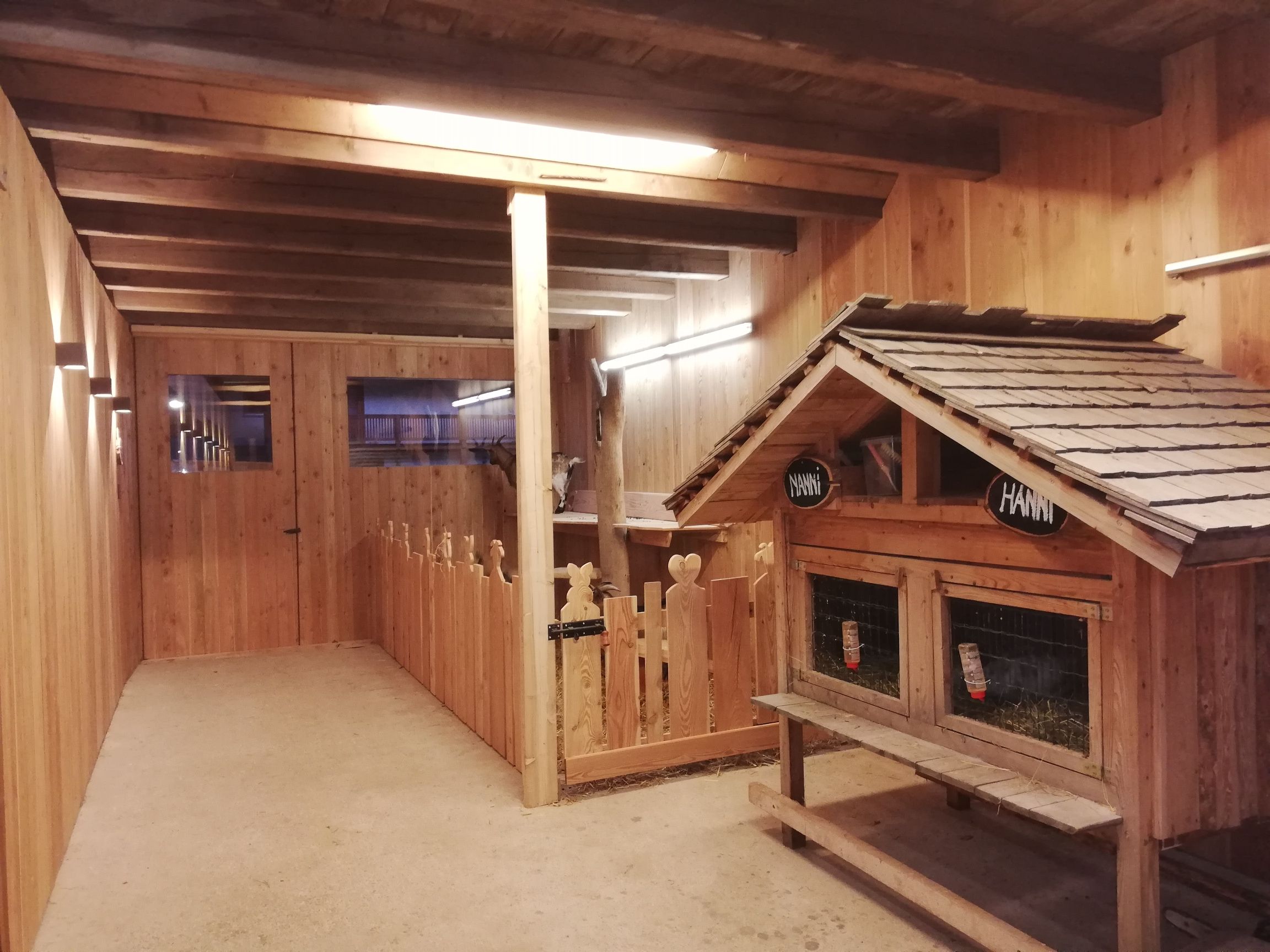 Pohled do interiéru dřevěné ohrady pro kozy s výběhem a malým domkem.