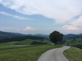 Triesting Gölsental Radweg, © Mostviertel Tourismus