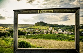 View of Falkenstein castle ruins, &copy; Weinviertel Tourismus / POV Robert Herbst