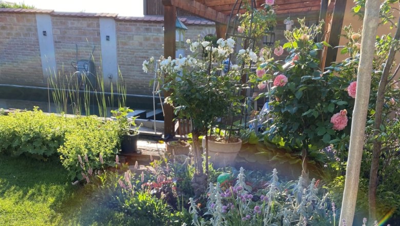 Fragrant roses for the senses, © Michaela Wannemacher