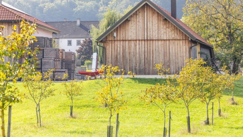 NUSSLAND, ořechovice, kter&eacute; zu&scaron;lechťuj&iacute;, &copy; Theo Kust