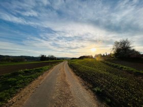 Abendstimmung kurz vor Jagenbach, &copy; Dr. Markus Peham