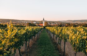 Langenlois, největší vinařské město v Rakousku, © Romeo Felsenreich