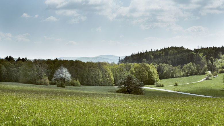 Irenental (c)Wienerwald Tourismus_Andreas Hofer_2021, &copy; Andreas Hofer/Wienerwald Tourismus