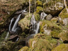 Ysperklamm, Wandern, Natur, &copy; Waldviertel Tourismus, @nadinechristine__