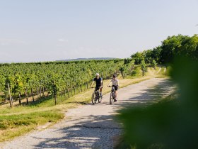 Radfahren Kremstal, &copy; Mara Hohla