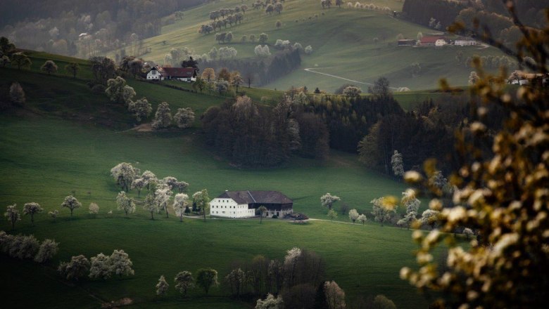 Photo point St. Michael South, © schwarz-koenig.at