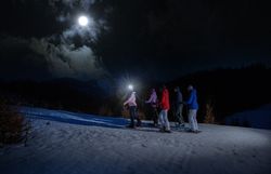 Ilustrační obrázek