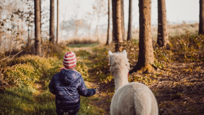 Child with alpaca, &copy; Donaublickalpakas