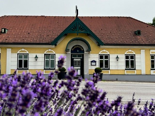 Žlutá budova s červenou střechou a zelenými ozdobami, v popředí kvetoucí levandule.